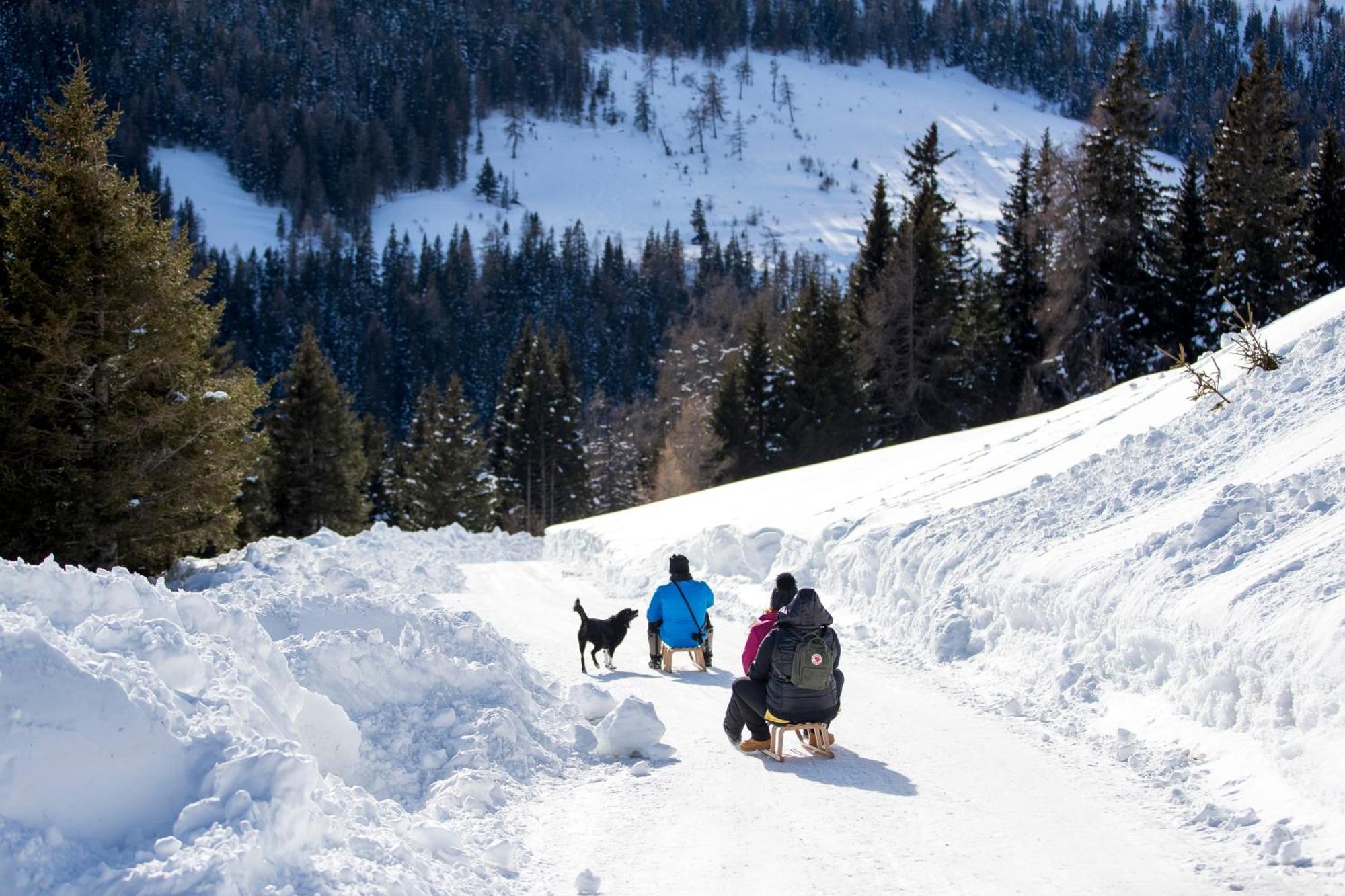 Feriendorf Murau By Alps Resorts エクステリア 写真