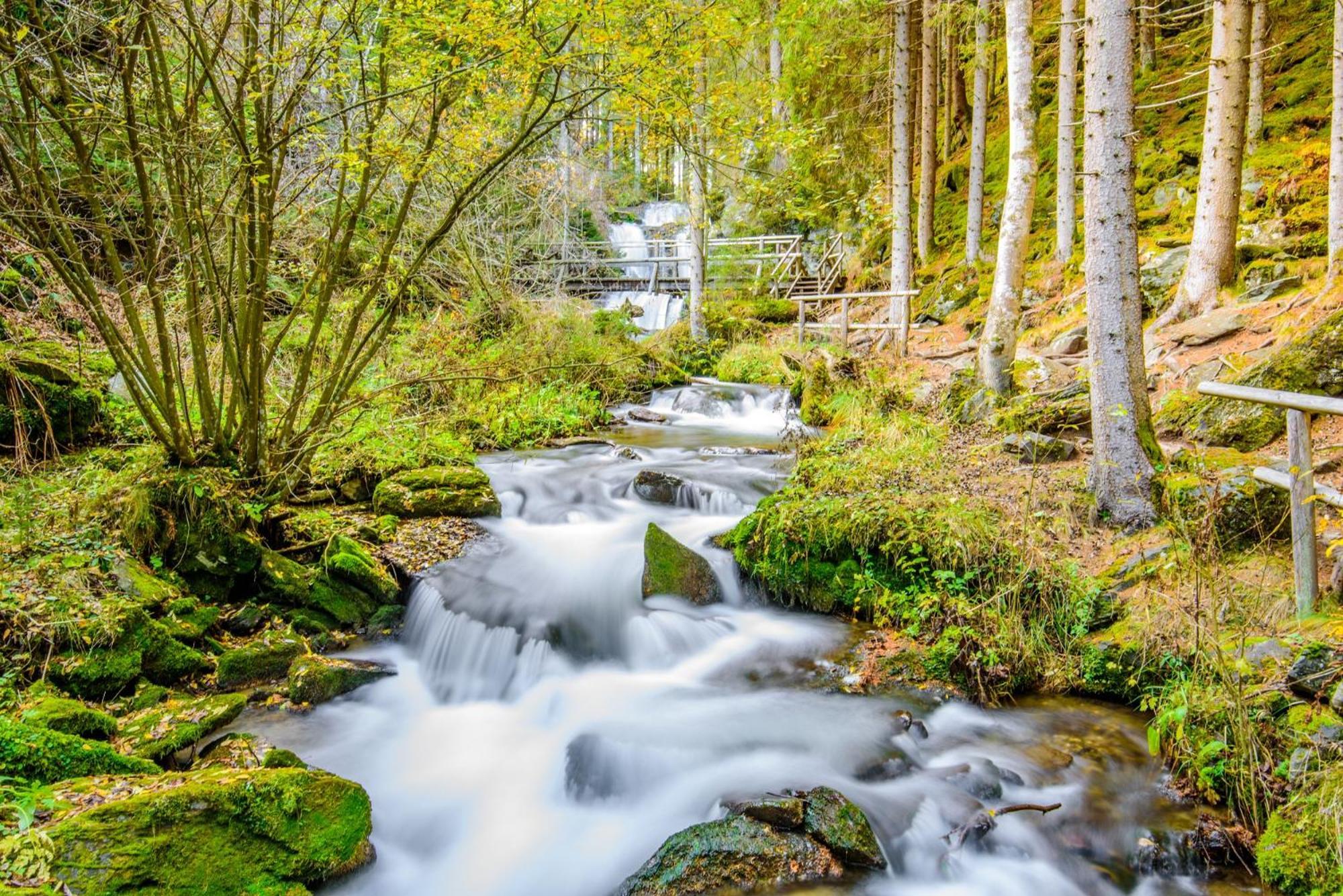 Feriendorf Murau By Alps Resorts エクステリア 写真
